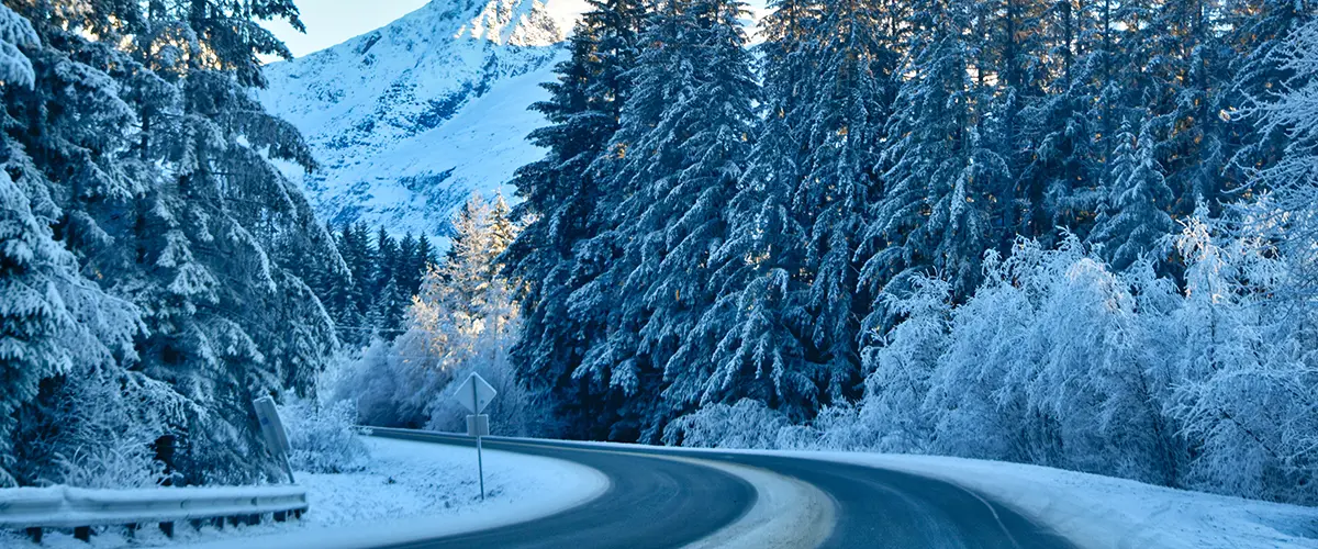 A snowy scenic view of a road curving through the wilderness.